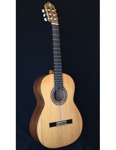 G 3 Cedar Top
