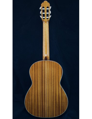 G 3 Cedar Top