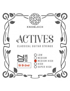 Knobloch QZ B 2nd Media Alta