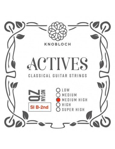 Knobloch QZ B 2nd Media Alta