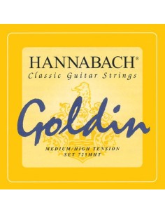 Goldin 7252 MHTC 2nd