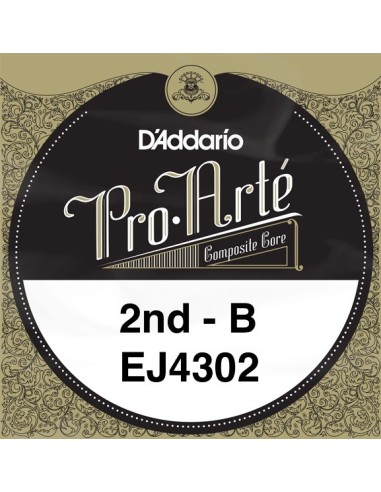 D'Addario Pro Arte B 2nd J4302 - Low