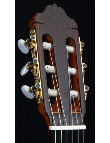 Esteve Señorita - Spruce