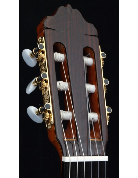 Esteve Señorita - Spruce