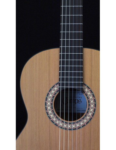 Camps Son-Satin - Cedar