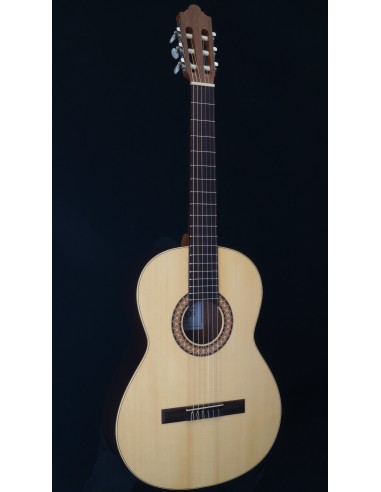 Camps Sinfonia - Pino