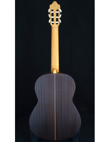 Camps Sinfonia - Pino