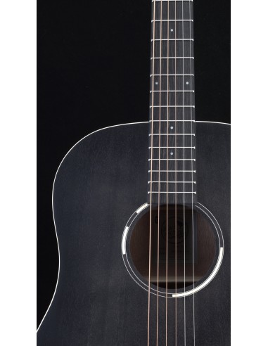 Tanglewood TWBB SD E