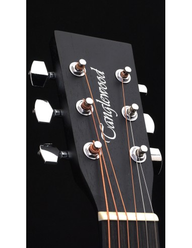Tanglewood TWBB SD E