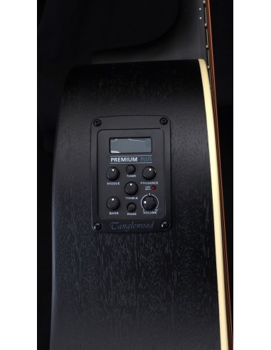 Tanglewood TWBB SD E