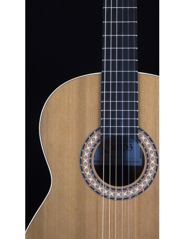 Camps Sinfonia - Cedro