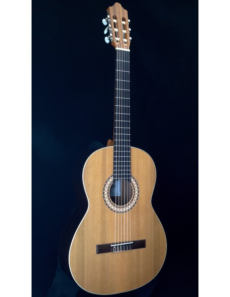 Camps Sinfonia - Cedro