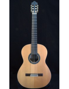 Camps SP-6 Nature - Cedar