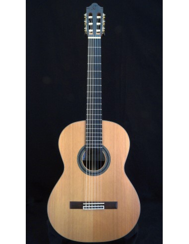 Camps SP-6 Nature - Cedar