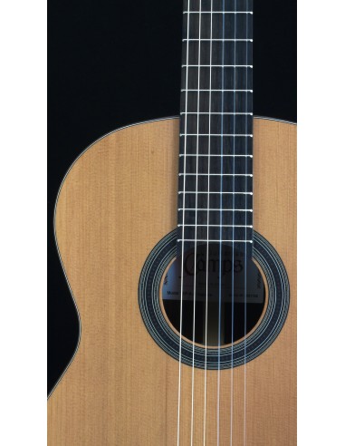 Camps SP-6 Nature - Cedro