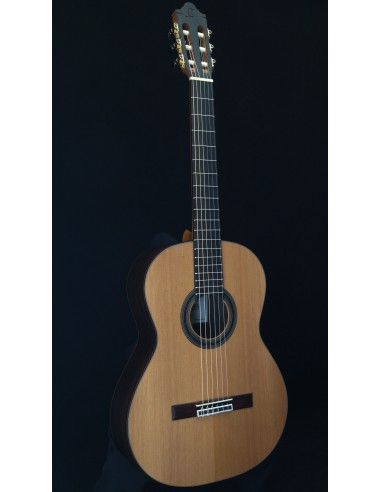 Camps SP-6 Nature - Cedro