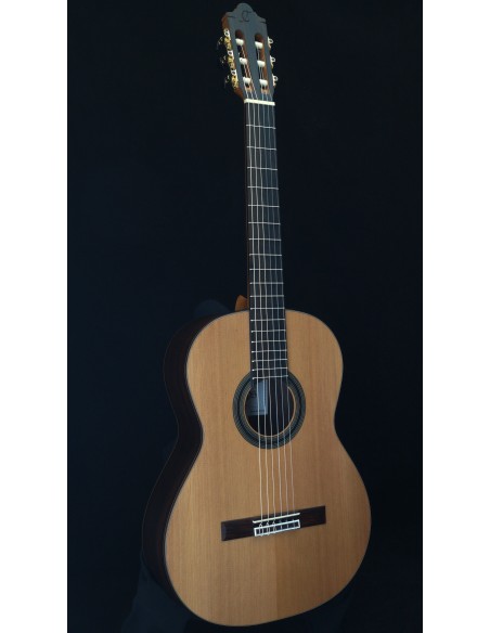 Camps SP-6 Nature - Cedar