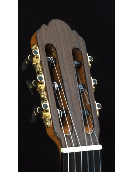 Antonio Picado 53 - Cedro