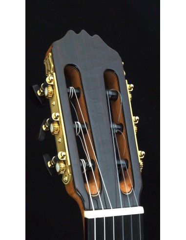 Antonio Picado 60 - Cedro