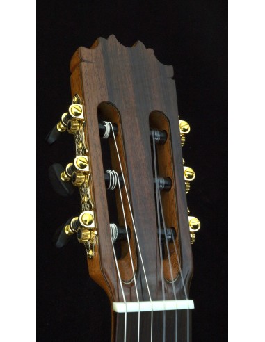 Antonio de Toledo 15S - Spruce