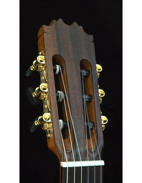 Antonio de Toledo 15S - Spruce