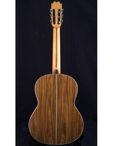 Antonio de Toledo 18S - Spruce