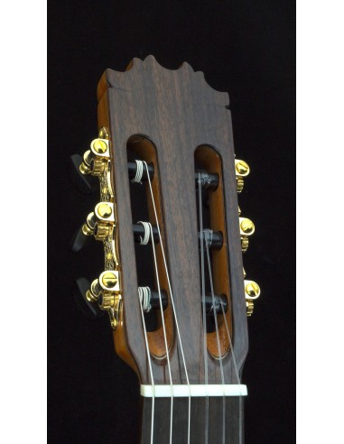 Antonio de Toledo 18S - Spruce