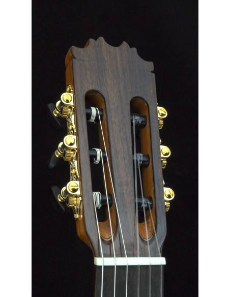 Antonio de Toledo 18S - Spruce