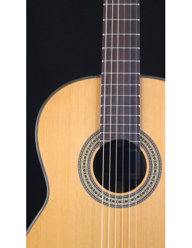 Antonio de Toledo 19C - Cedar