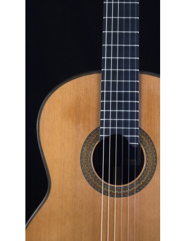 Antonio de Toledo 250C - Cedar