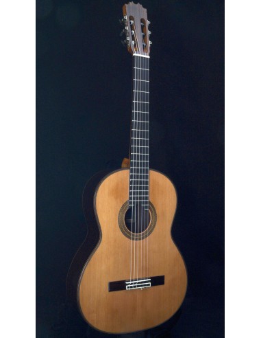 Antonio de Toledo 250C - Cedar