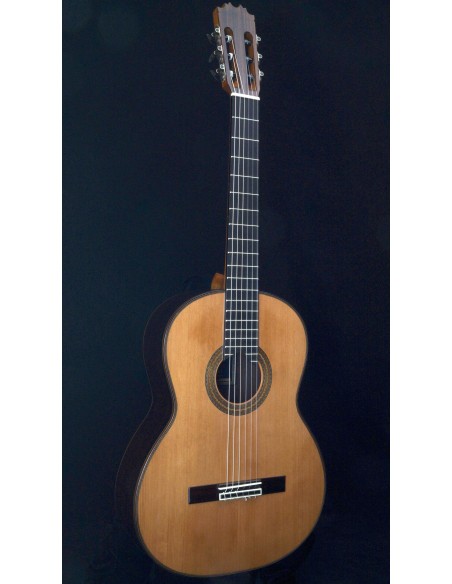 Antonio de Toledo 250C - Cedar