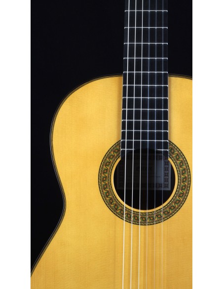 Esteve 7 SR - Spruce