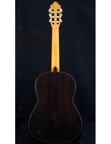 Esteve 7 SR - Spruce