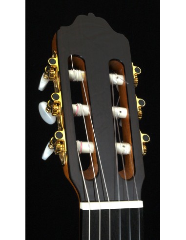 Esteve 7 SR - Spruce