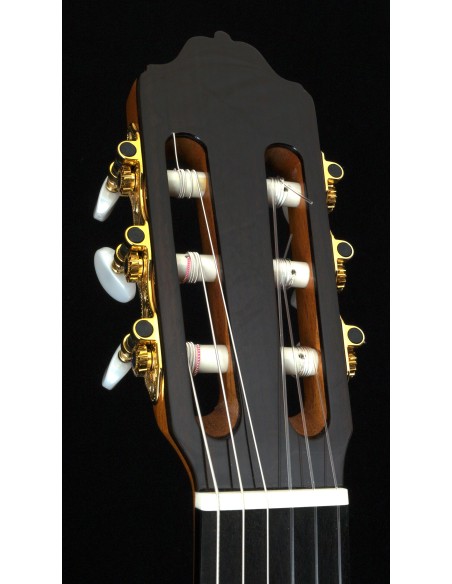 Esteve 7 SR - Spruce