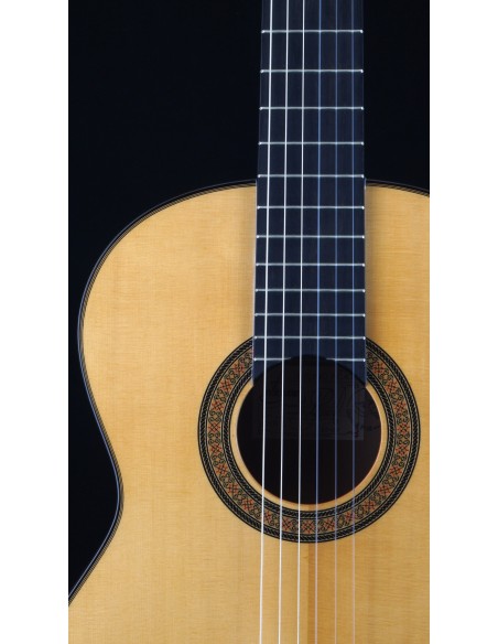 Antonio Picado 60 Double Top - Spruce