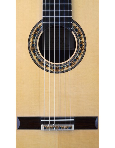 Vicente Carrillo Maestro NX - Pino