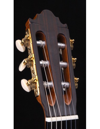 Vicente Carrillo Maestro NX - Pino