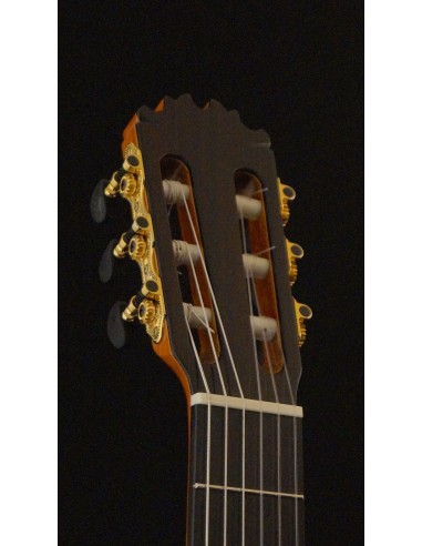 Antonio de Toledo Y8F - Blanca