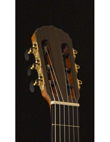 Antonio Picado 54 - Cedro