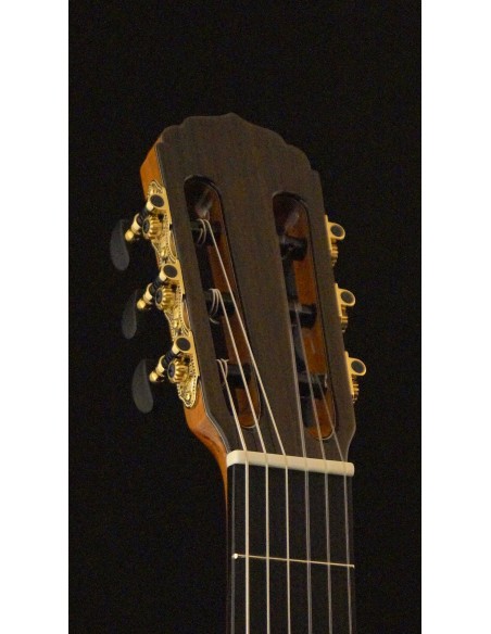 Antonio Picado 54 - Cedro