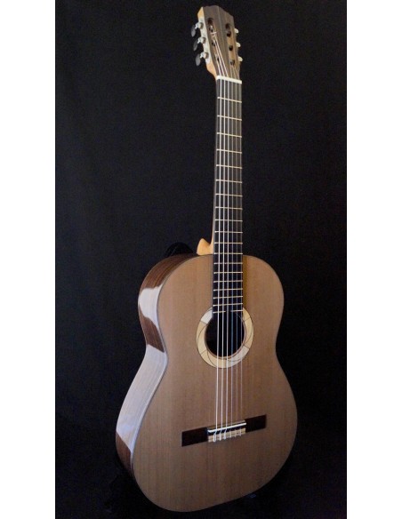 Victor Iermito Concierto - Cedar