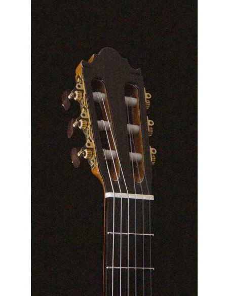 Vicente Carrillo India Primera - Cedro