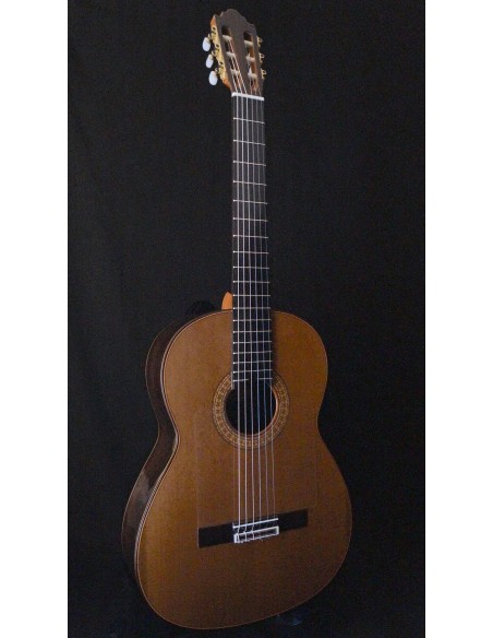 Esteve Señorita - Pino