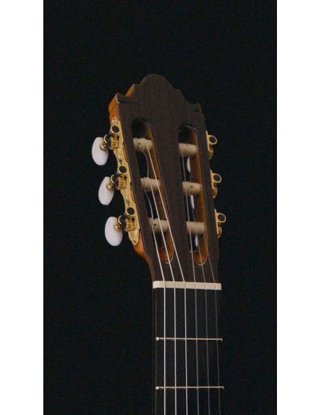 Esteve Señorita - Pino