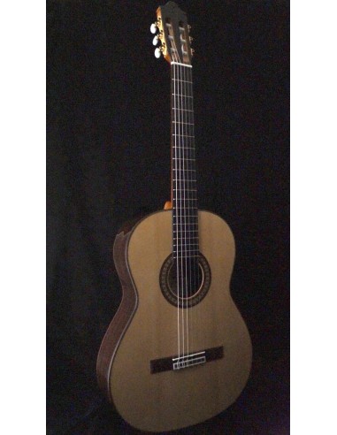 Camps Primera Negra - Negra