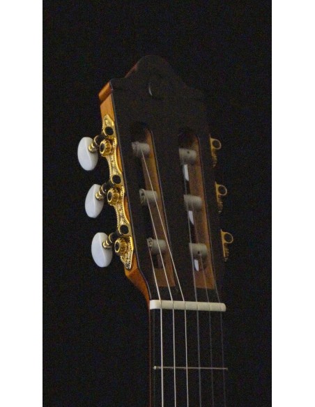 Camps Primera Negra - Negra