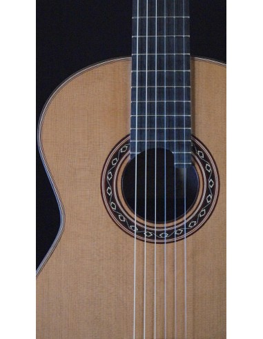 Ana Espinosa Concierto - Cedro