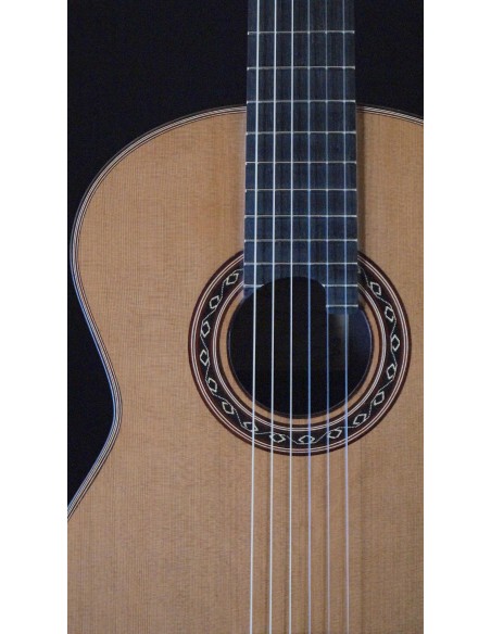 Ana Espinosa Concierto - Cedro